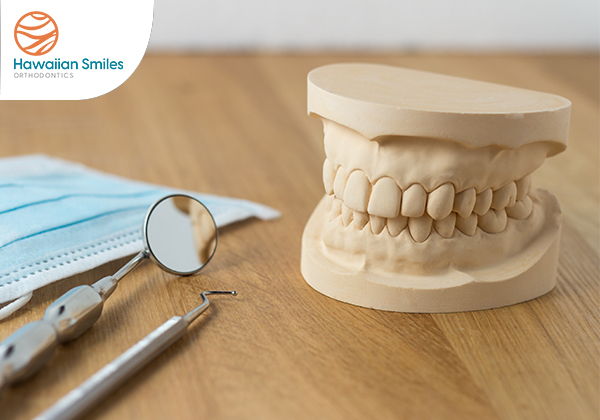 Orthodontist Vs Dentist